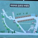 아리아리 숲속의 야영장 | [영월] 새소리 들리는 “아리아리 숲속의 야영장” 솔직리뷰