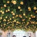 봄,여름,가을,겨울 이미지