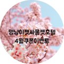 멍냥이 펫싸롱, 펫호텔 이미지