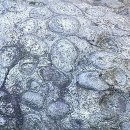 상주 운평리 구상화강암 이미지