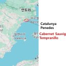신동와인주 이미지