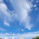 온맘약국 이미지