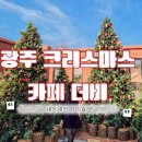 동곡로185번길 | 광주 크리스마스 트리 카페 더비에서 사진 찍고 옴