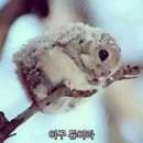 김군연어 - 김해시 | 김군연어