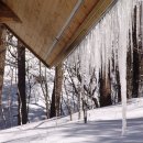 고은목장 이미지