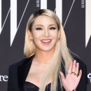 더블유씨엘 이미지