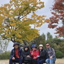 2025.10.26(일) 서울 선유도~양화, 한강공원 걷기.. 이미지