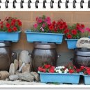 관성회관문화교실 이미지