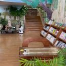 평택소화유치원 이미지