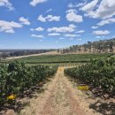 부은농장 이미지