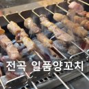 전곡-19 | 연천 전곡역 터미널 시장 현지인 맛집 [일품양꼬치] 램 양갈비 마라탕 꿔바로우 고량주 추천
