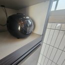 신천코지 | 제주도 서귀포 신천코지펜션 진짜 찐찐강추 후기