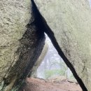 연세문치과의원 이미지