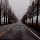 봄날오다 이미지