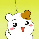 크리에이티브통 제주 이미지