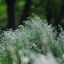 소향공원 이미지