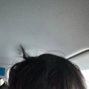 똥빼노래연습장 | 2월 한달 요약 : 실수로 너무 많이 먹었어요 🐷