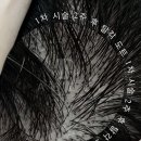 아벨리아카데미 | 부산두피문신의 모든 것: 전문 교육기관 아벨리에서 알려드립니다