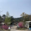 광릉숲이야기캠핑장 이미지