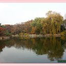 성종농장 이미지