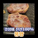 [풍동맛집] 질 좋은 고기와 풍성한 셀프바가 매력적인 '풍양' 목살 후기 [☆5+n]