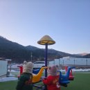 둥이축산 이미지