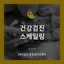 리엔동물의료센터 | 송도 강아지 건강검진 24시 온동물의료센터에서한 후기, 비용, 스케일링까지