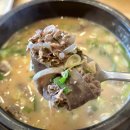 뚝배기순대국 | 당면순대는 순대가 아니다! 피순대가 가득한 찐 로컬 뚝배기 ‘원골전통순대국’ 솔직 후기 (장안동...