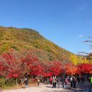소요산 Daum카페