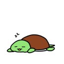 스테이 더 딜라잇 이미지