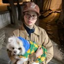 로이안경 이미지