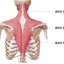 해피짐휘트니스 이미지