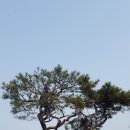 상록 농장 이미지