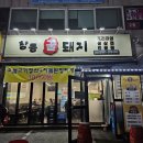 꿀돼지 | [창동맛집] 창동꿀돼지 후기 💛