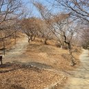 씨유 경성대건학관점 | [부산여행]만만히 봤다가 큰 코 다치는 황령산봉수대