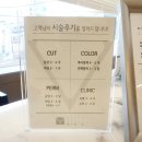 [역삼 미용실 / 머리 잘 하는 곳] 살롱드미네스헤어 - 미디움 레이어드 C컬펌 / 뿌리펌 후기
