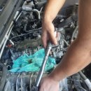 Top Motors(탑모터스) 이미지