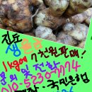 진도 무릉도원 이미지