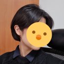 르띠뷰티 헤어 | 너무 잘 잘랐다는 소리 듣는 숏컷 후기(+찹찹)