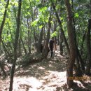 진중2리 이미지