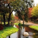 상동시민의강 이미지