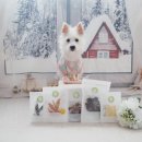 멍뭉이 밥상 이미지