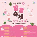 시흥 거북섬 산타 페스타 이미지