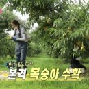 성훈농장 이미지