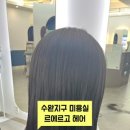 르에르고 이미지