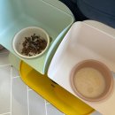 단지까까 이미지