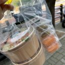 폴라니포케 정관점 이미지