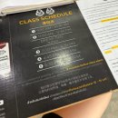 Travel Gym | 치앙마이 무에타이 체험 후기 | 초보도 가능한 스팅하이브 솔직 리뷰