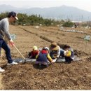 학전농장 이미지