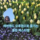 튤립 | 에버랜드 오후이용권으로 즐긴 튤립 페스티벌 후기